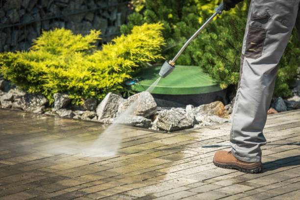 Best Pool Deck Cleaning  in Jackson, GA